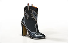 Cowgirl Boot