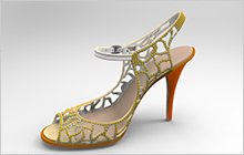 3D Women's Shoe